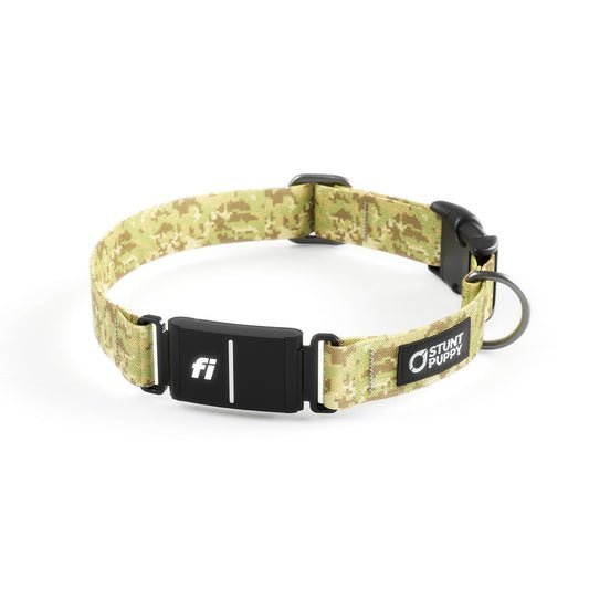 A tablet screen displays support information about a smart dog collar.